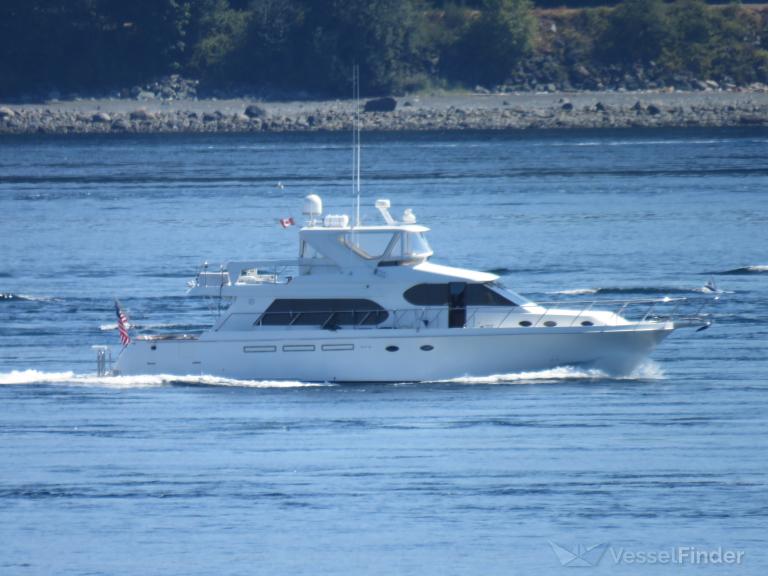 CETACEAN photo