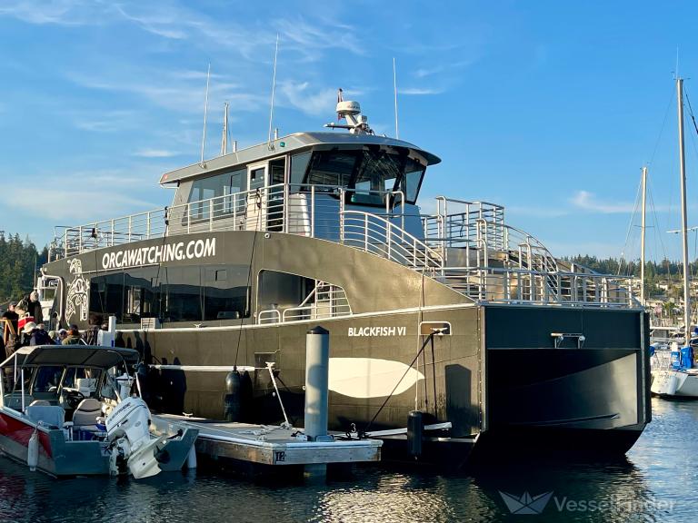 BLACKFISH VI photo