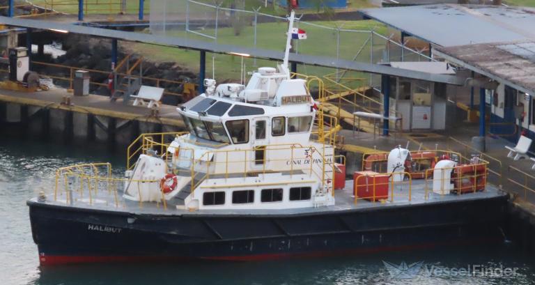HALIBUT, Port tender - Details and current position - MMSI 372316000 ...