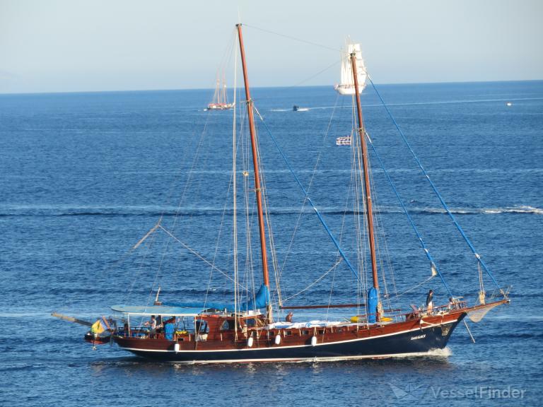 DALGACI photo