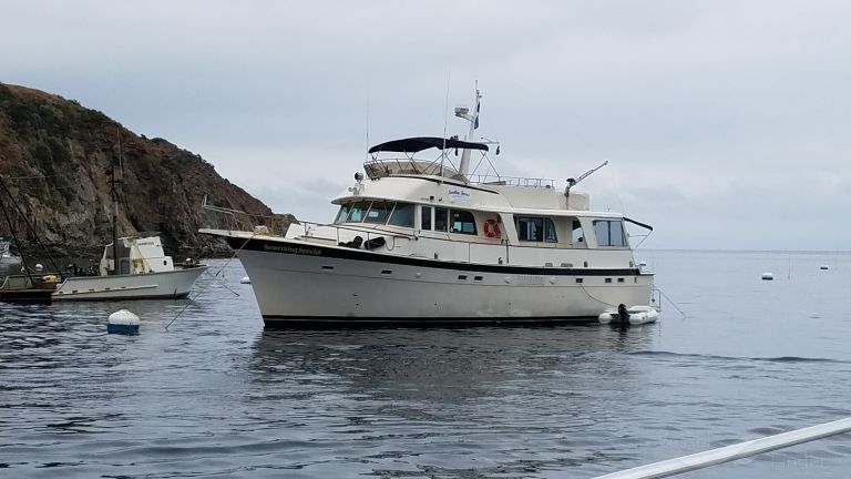 SOMETHING SPECIAL photo