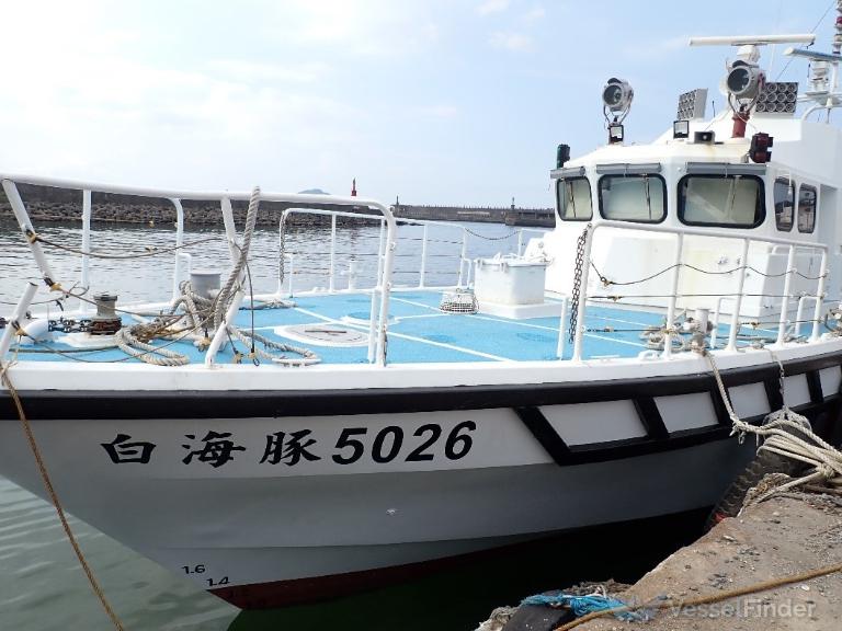 WHITE DOLPHIN 5O26 photo