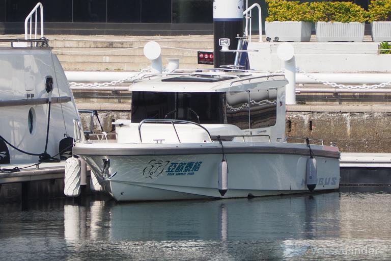 ASIAN ADMIRAL TIGER photo