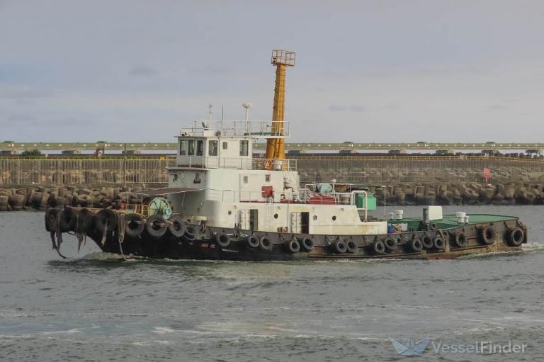 YU DING N0 303 photo