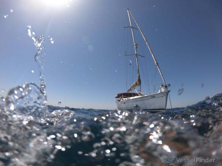 SAYONARA photo