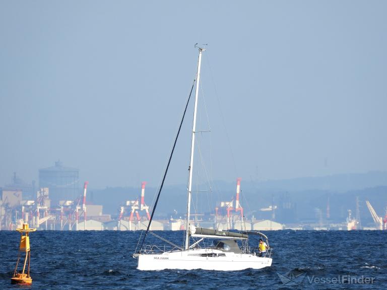 SEA HAWK photo