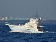 BLUEFIN