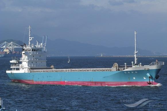 WAKANATSU photo