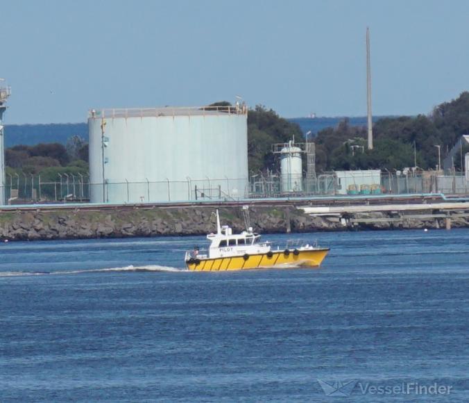 PILOT VL TEMPEST photo