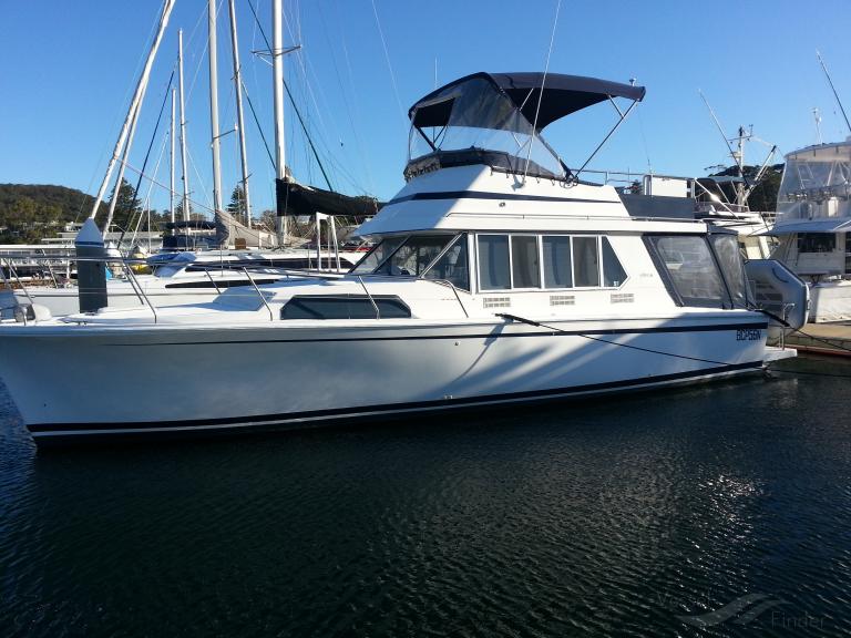 BACK IN THERAPY photo