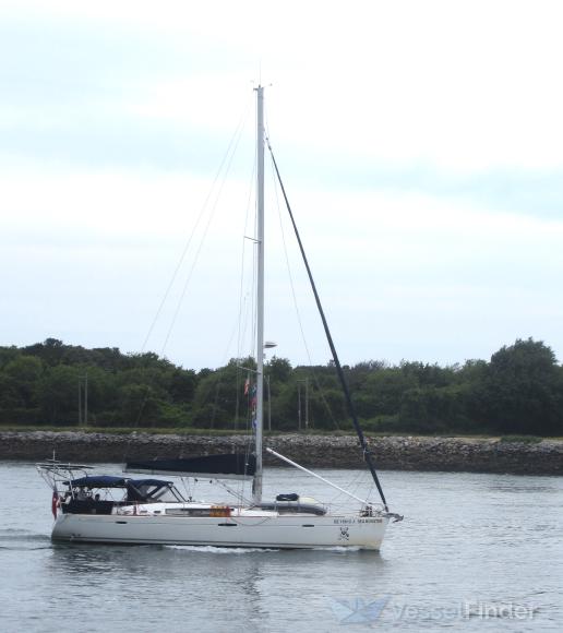 SY SEA MONSTER photo