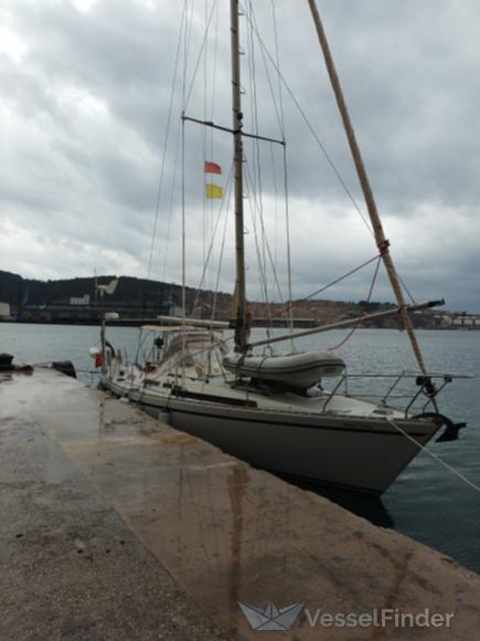 WISHFUL THINKING photo