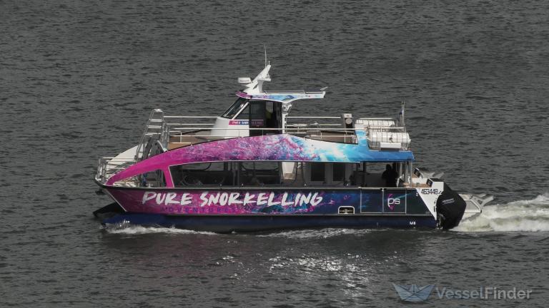 PURE SNORKELING photo