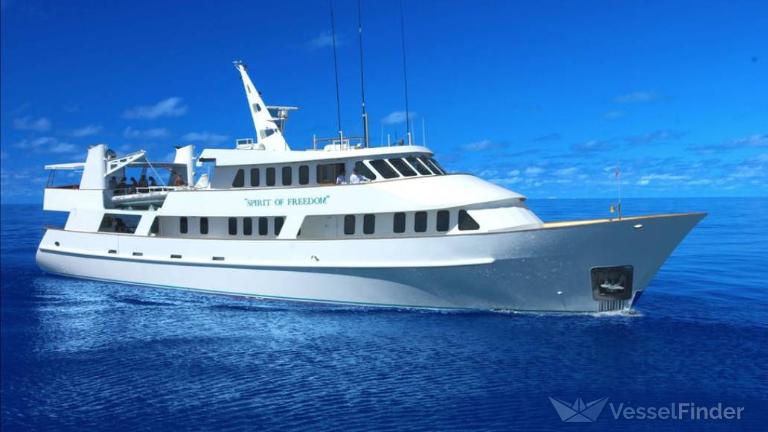 SPIRITOFFREEDOM photo