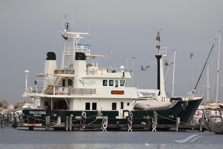 WHALE SONG RHIB photo
