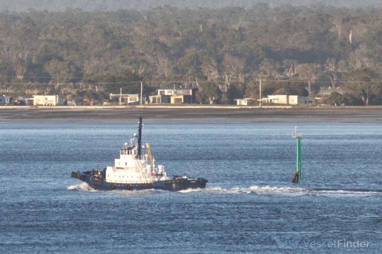 RISDON COVE, Tug - Details and current position - MMSI 503539500 ...