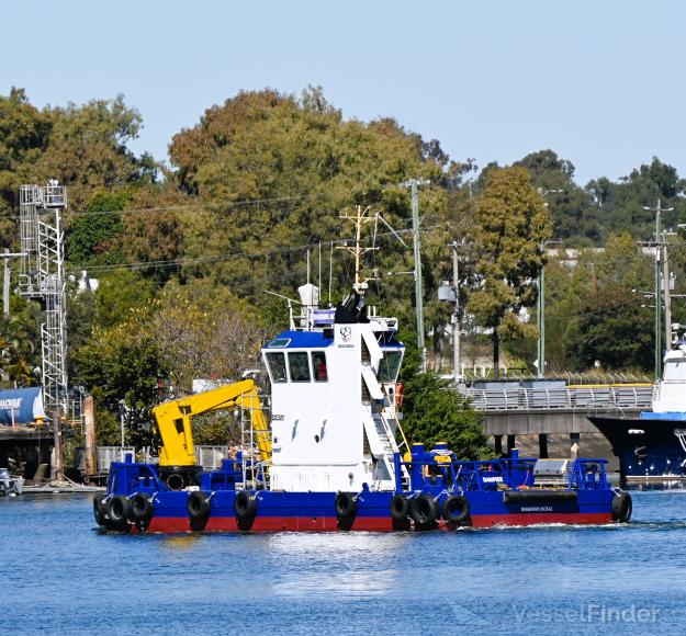 BAGHWAN JACKAL photo