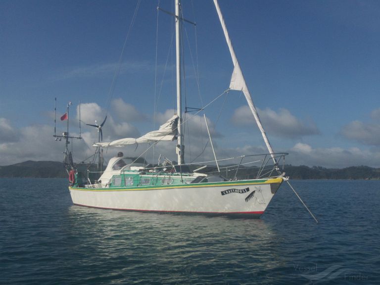 CRAZYHORSE-ZMT8066 photo