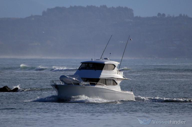 BLUE FINN photo