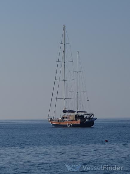 ODISEA photo