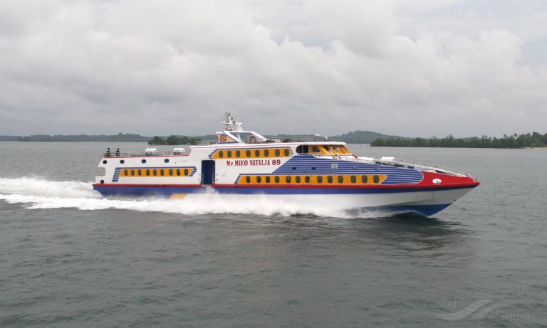 MIKONATALIA 89 photo