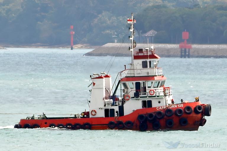 TB CAPRICORN 120 photo