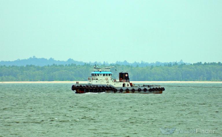 TB.NAPOLEON 17 photo