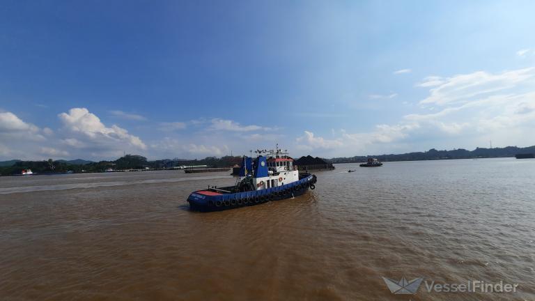 BAHARI PERDANA XXI photo