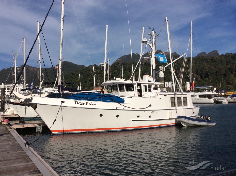 M Y TIGER BALM photo