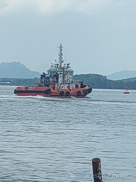 BADANG SEBELAS photo