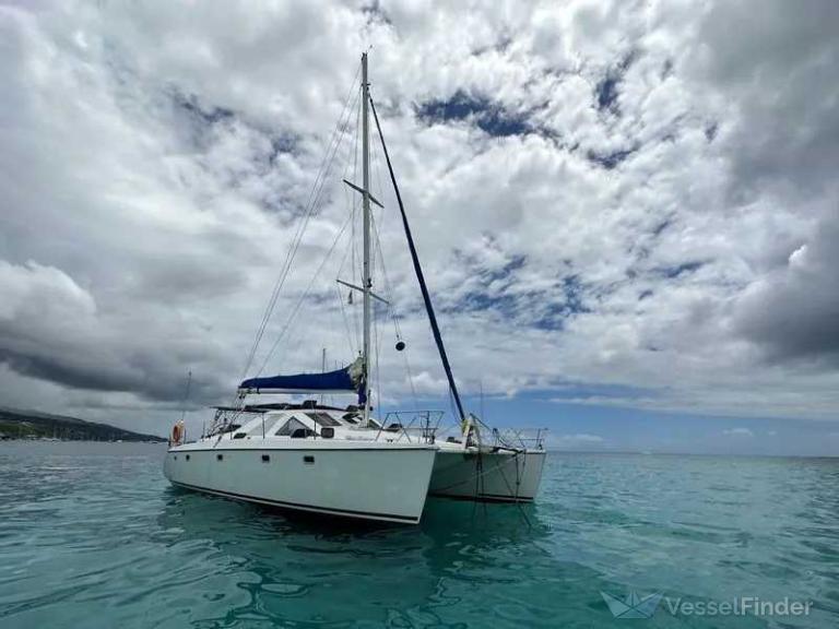 SEACATS photo