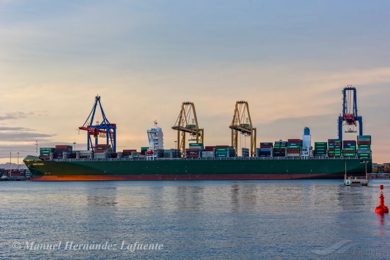 TAIPEI TRIUMPH, Container Ship - Details and current position - IMO ...