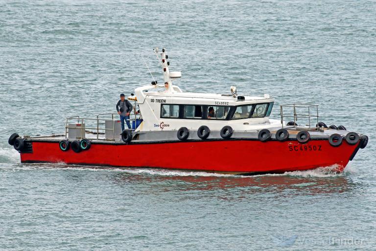 SG TREENI photo