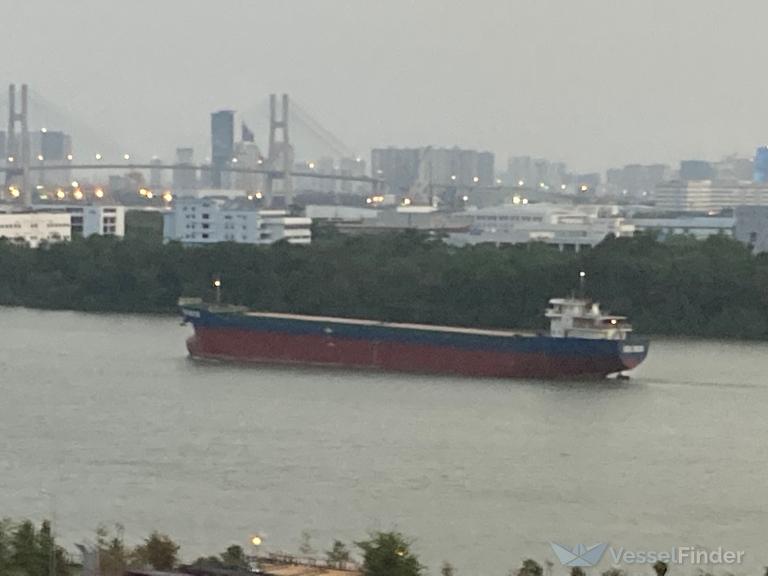 TRUONG HUNG 556 photo