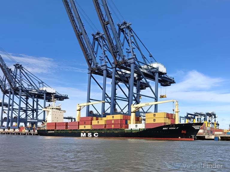 MSC VERA F photo