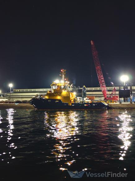 STAR SAGITARIUS photo