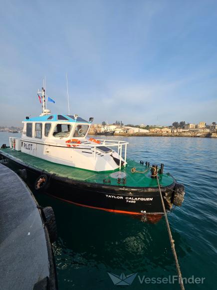 TAYLOR CALAFQUEN photo