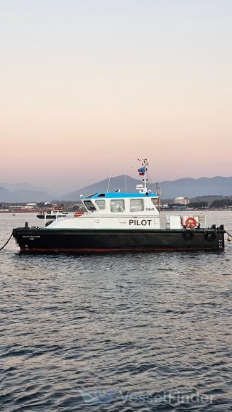 TAYLOR DALCAHUE photo