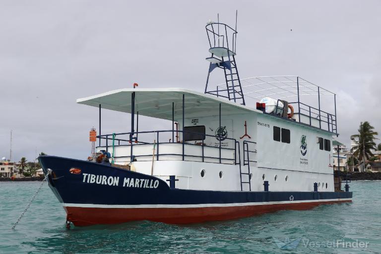 TIBURON MARTILLO photo