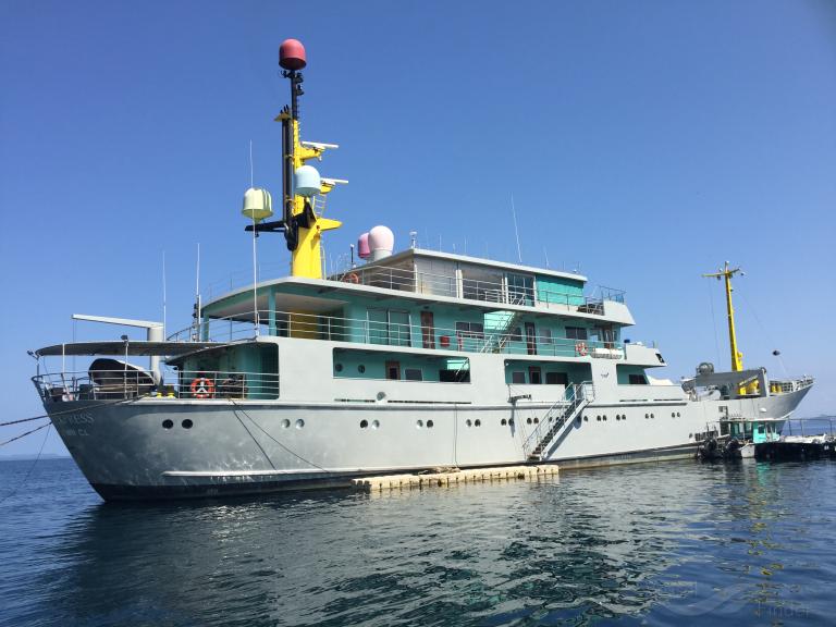 MY BROTHER BRANCUSI photo