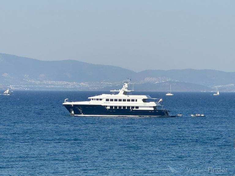 MY GOLDEN HORN photo