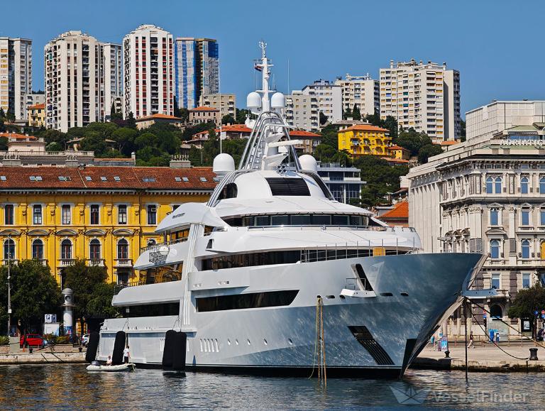 VIBRANT CURIOSITY photo