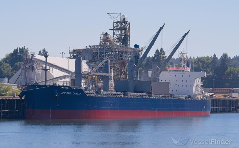AFRICAN LORIKEET photo