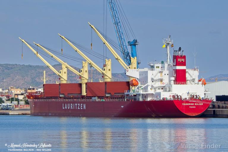 TSUNOMINE BULKER photo