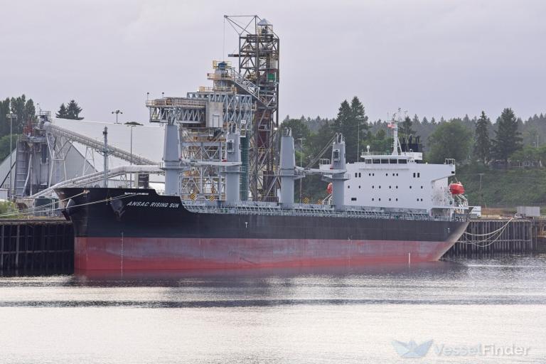 ANSAC RISING SUN photo