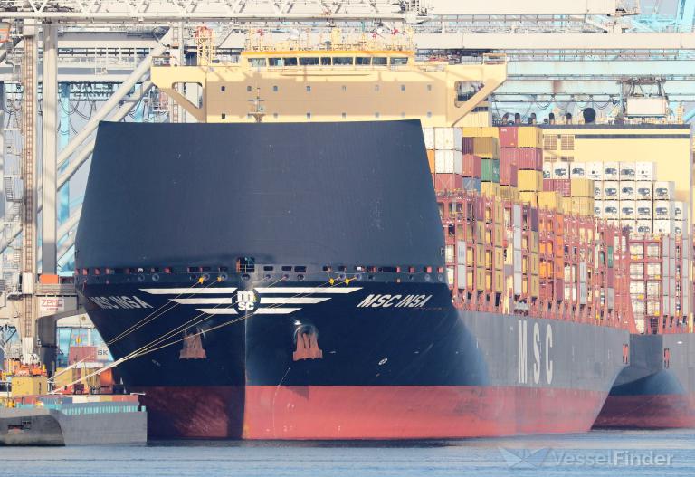 MSC INSA
