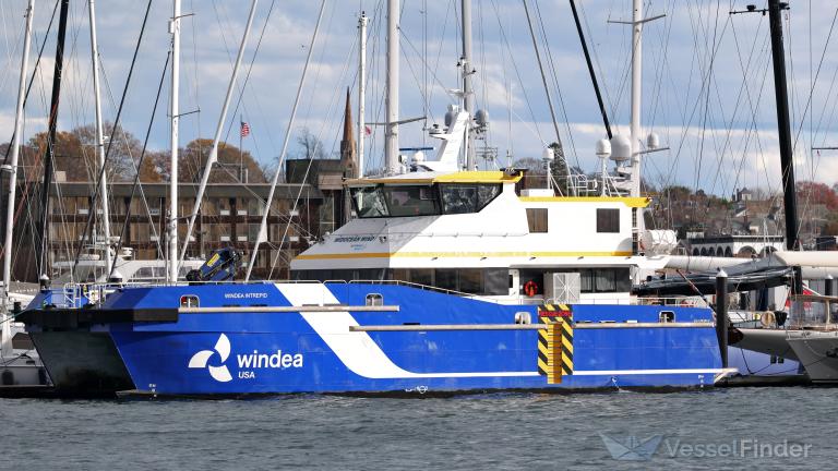 WINDEA INTREPID, Offshore Tug/Supply Ship - Details and current ...