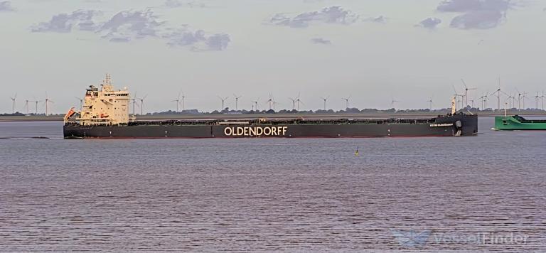 KEVIN OLDENDORFF