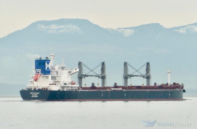 NEW FORTUNE, Bulk Carrier - Details and current position - IMO 1025942 ...