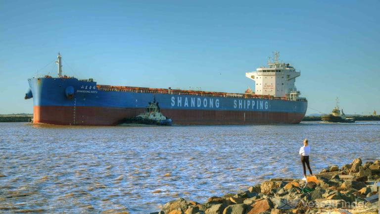 SHANDONG XIN FU photo